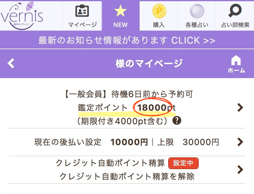 ヴェルニで18000円分の鑑定ポイントが表示されたプロフィールページ